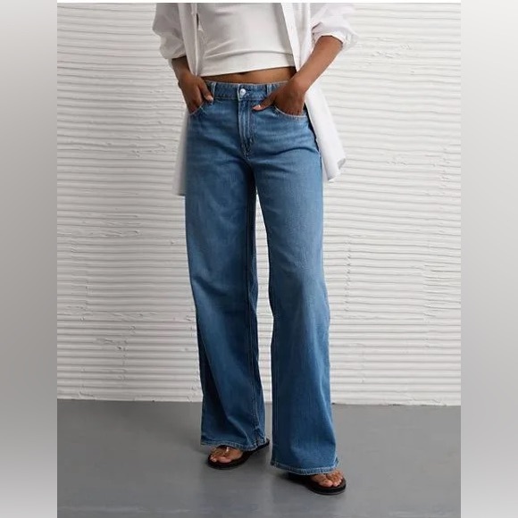 American Eagle Outfitters Denim - American Eagle Outfitters Low Rise Baggy Wide Leg Jeans